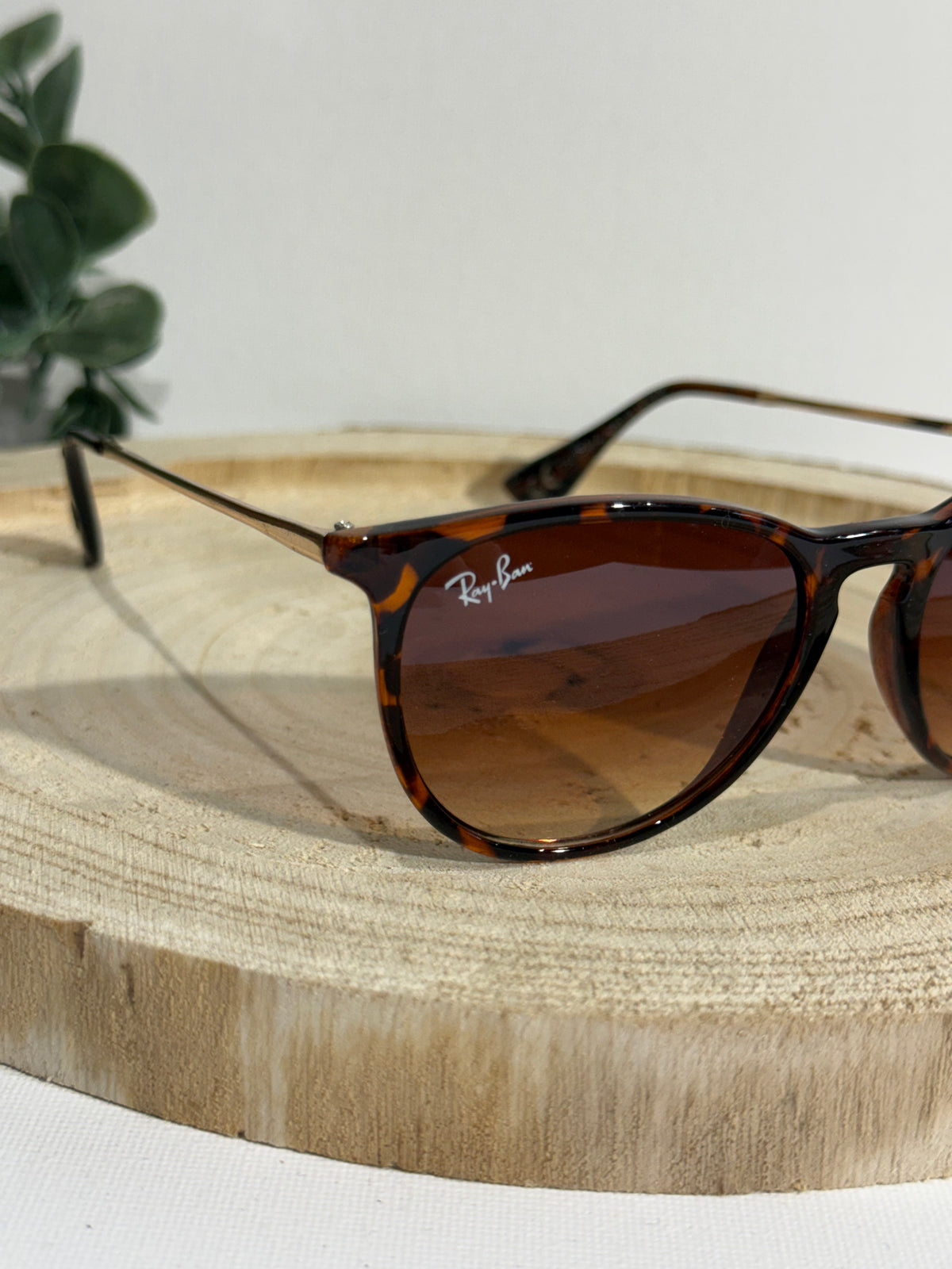 Rayban