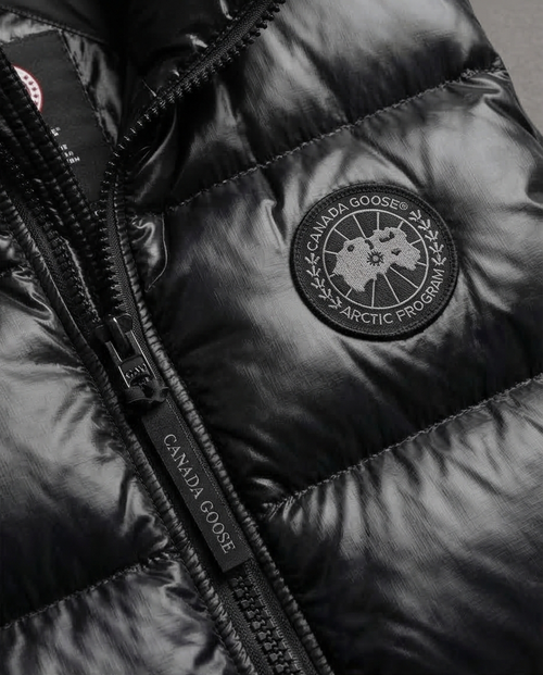 Canada Goose