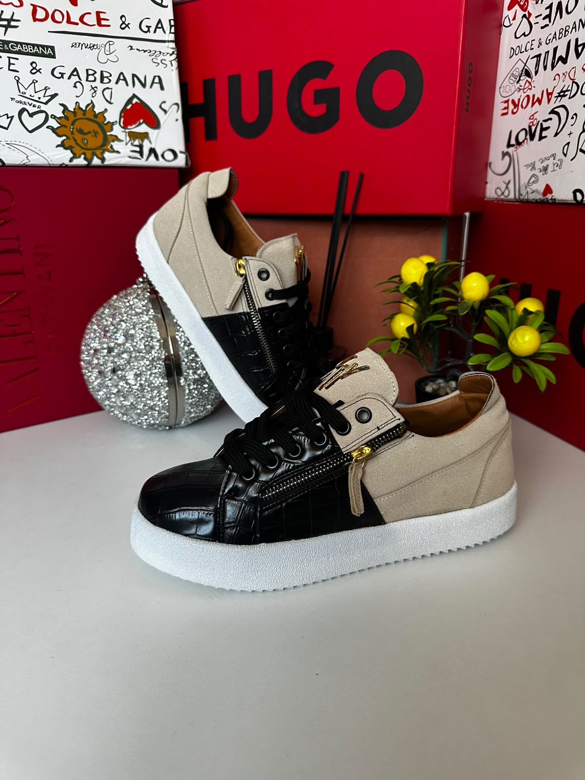 Giuseppe Zanotti