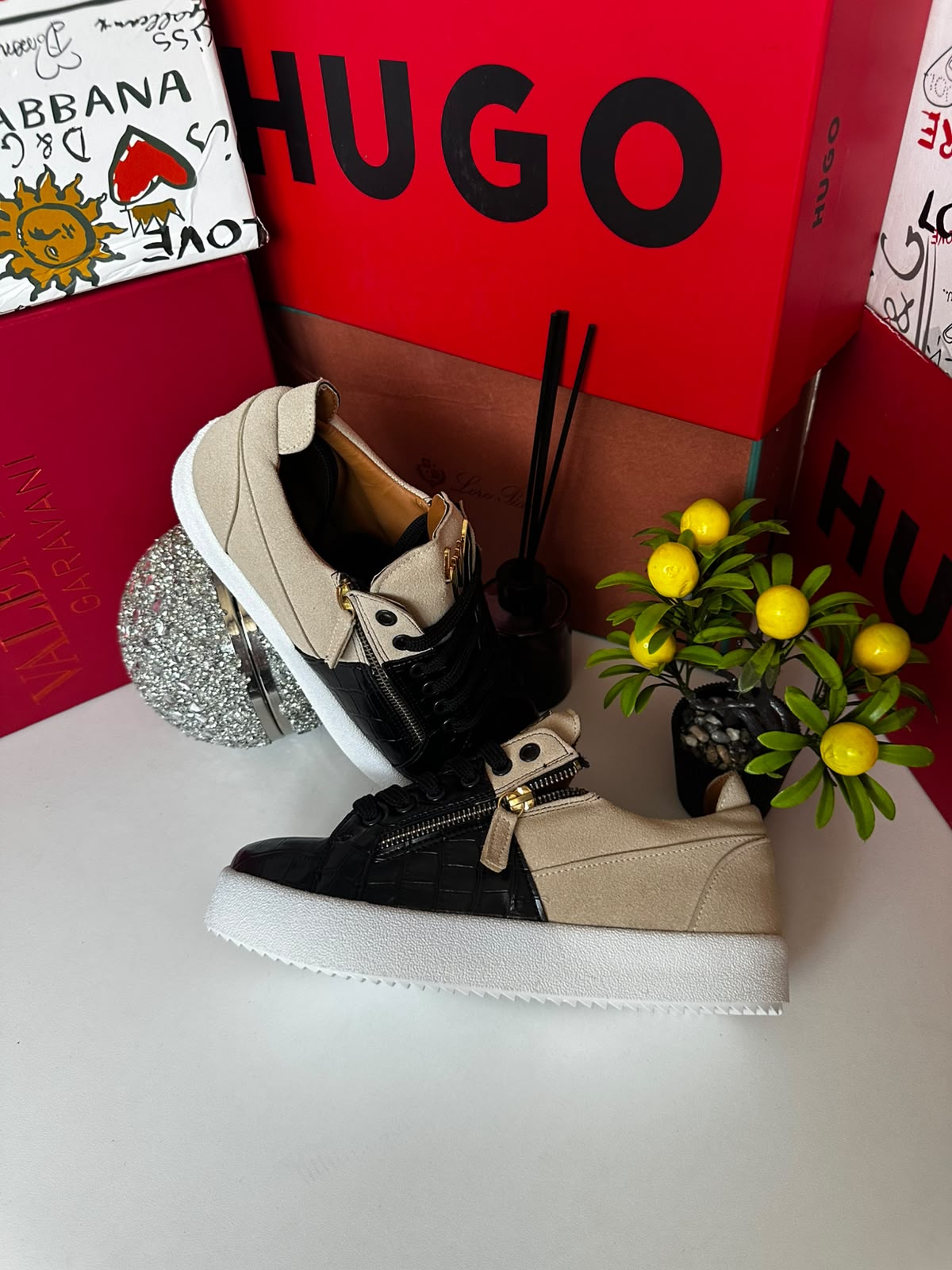 Giuseppe Zanotti