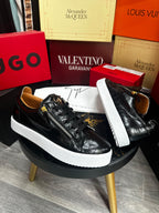 Giuseppe Zanotti